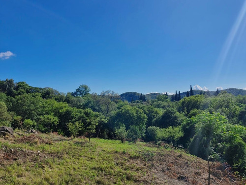 Venta - Lote 6, Mz 420, Potrerillo De Larreta