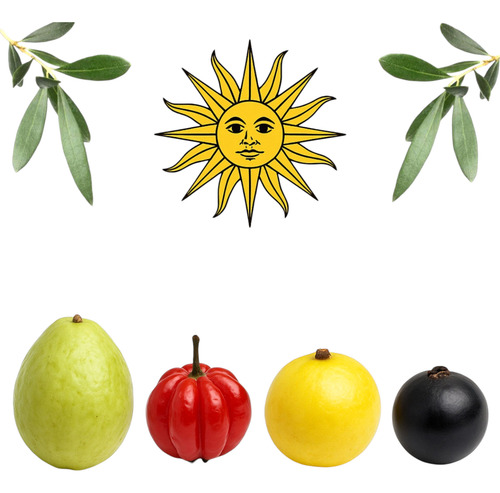 4 Árboles Nativos Frutales + 40l De Tierra Abonada De Regalo