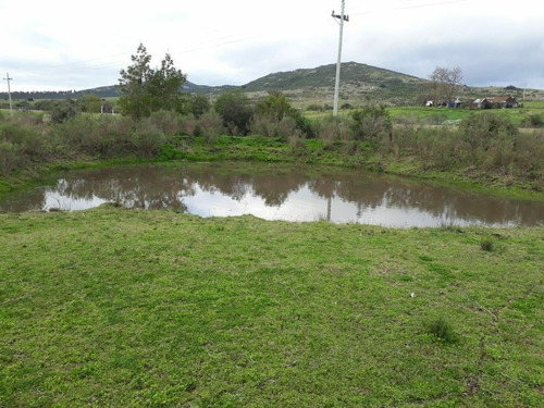 Campo De 6 Has 932 M 2 Ubicado En Ruta 60