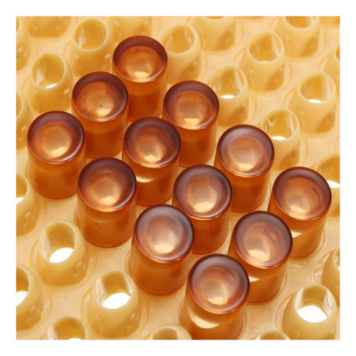 . Kit Material Apícola Caja Jaula De Abeja Reina C