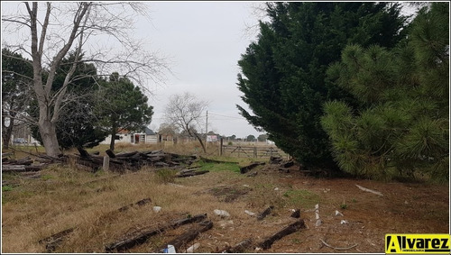 Imagen 9 de 14 de Lote De 5500 M2 A Metros De La Ruta Interbalnearia