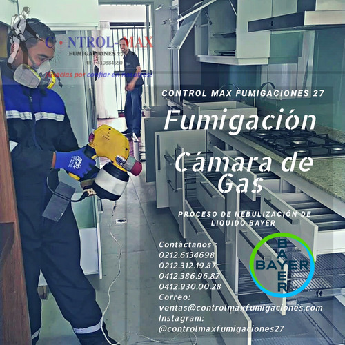 Imagen 10 de 10 de Servicio De Fumigacion Chiripas Cucarachas Pulgas Termitas