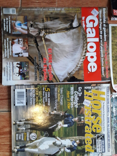 Lote De 10 Revistas De Caballos