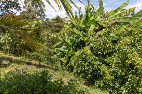 Casa Campestre En Venta En Vereda La Mosca. Cod V11271