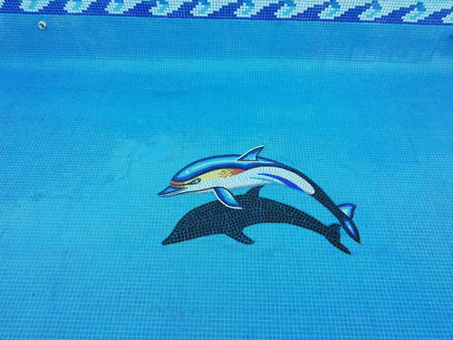 Imagen 2 de 9 de Mosaico Veneciano Delfin Amarillo Con Sombra Para Alberca