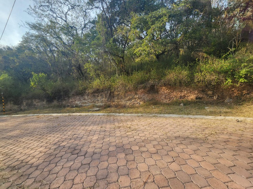 Venta Lote Gladiola 28 En Calle Privada Con Hermosas Vistas Y Todos Los Servicios En Nueva Zona De Fracc Rancho San Diego Ixtapan De La Sal Edomex