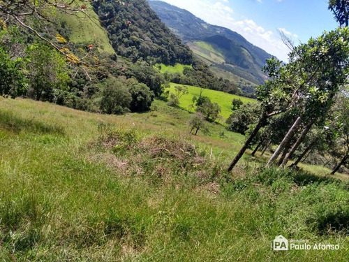 Chácara Residencial À Venda, Centro, Divinolândia - . - Ch0026
