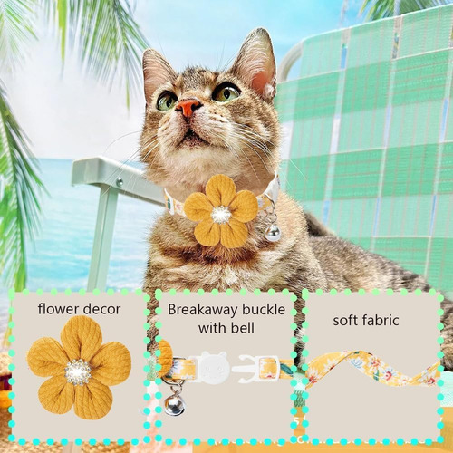 Collar Para Gato, Collar Para Gatito Separable Hyqhyx Con Fl