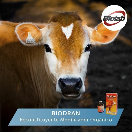 Imagen 2 de 3 de Biodran Am 250 Ml