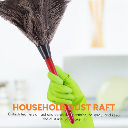 Aspas De Ventilador For Limpiar Plumas De Avestruz, De Vari