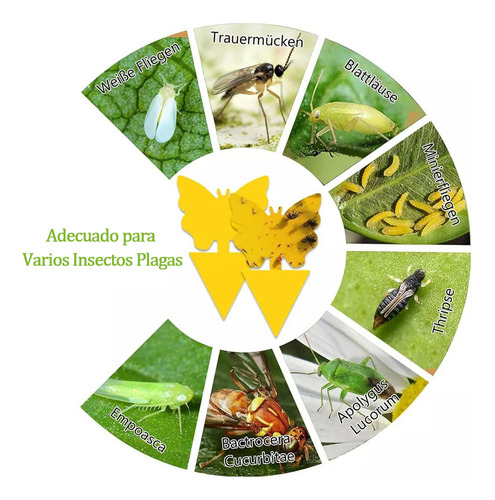 60pcs Trampa Pegajosa Insectos Control Plagas Atrapa Moscas
