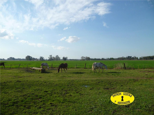 Imagen 6 de 11 de 2323hp-148 Has Agricolas R47 Lujan Con Instal