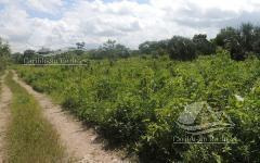 Terreno En Venta En Cancun Clm2507