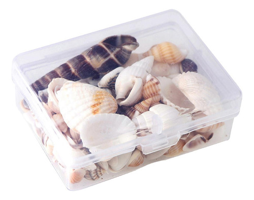 2 Caixa Praia Conchas Do Mar Conchas Espiral Grânulos Do