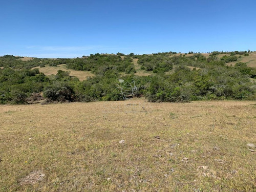 Imagen 22 de 30 de Venta De Chacras De 5 Has Se Ubicado En Garzon - Garzón Garzon