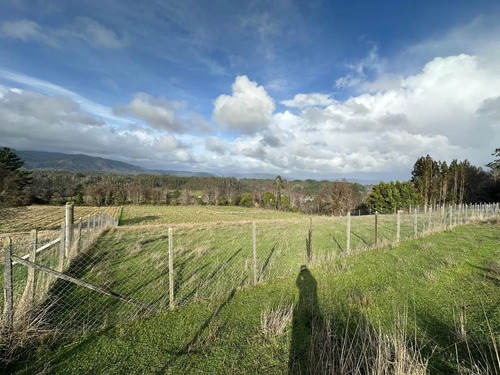Terreno De 5000 M2 En Cañete, Tranquilidad Y Proyección