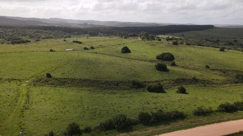 Campo 70ha Maldonado  (ref: Atm-7550)