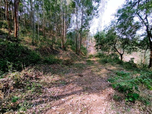 Imagem 11 de 19 de Terreno Escriturado À Venda Em Piracaia/sp - 1000 - 34968879