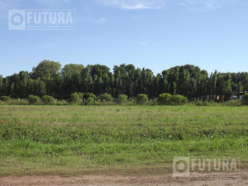 Imagen 21 de 22 de Terreno A La Venta En Barrio Campo Madero - Lote Avenida Prehablitacion Comercial