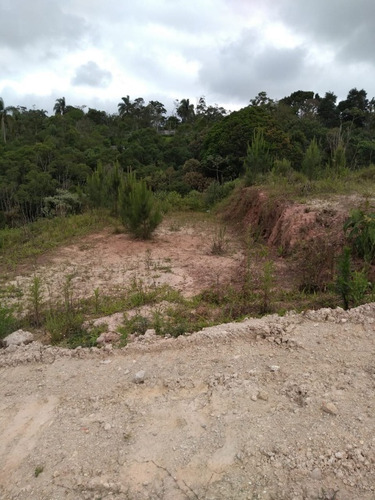 Imagem 5 de 7 de Terreno - Te00033 - 34561289