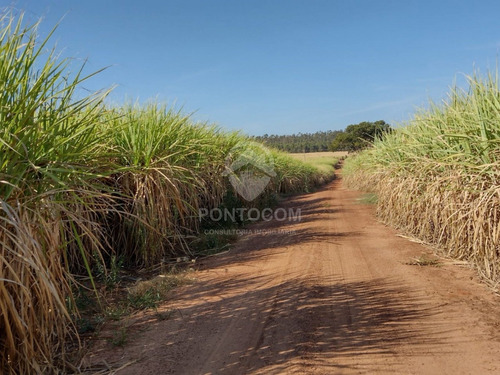 Imagem 2 de 4 de Excelente Chacara - Santa Albertina - 3841134v