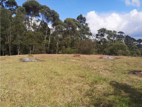 Lote En Venta Rionegro-los Pinos