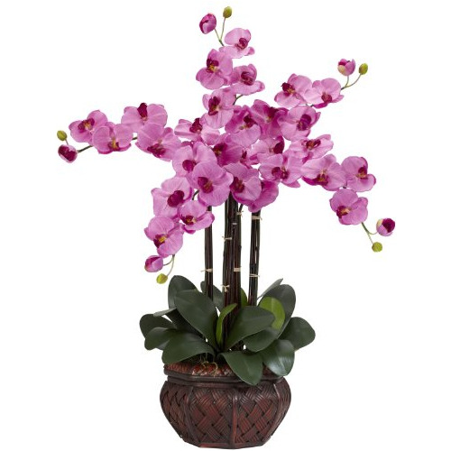 Arreglo De Flores De Orquídeas Phalaenopsis 1211ma Jar...