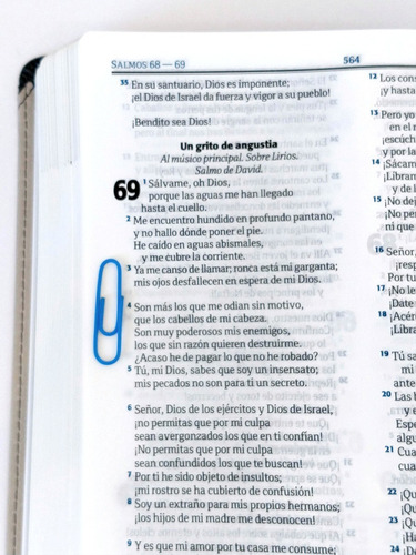 Biblia De Estudio Eco Cuero Gris Reina Valera Contemporánea