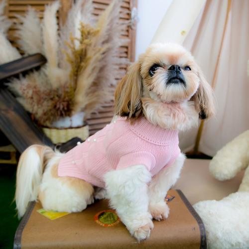 Suéter De Tricô Pet Com Pérolas Bordadas À Mão Rosa Tam P