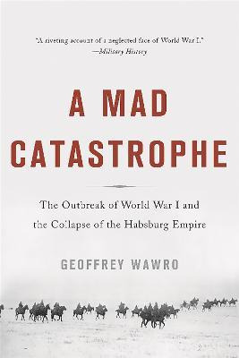 Libro A Mad Catastrophe : The Outbreak Of World War I And...