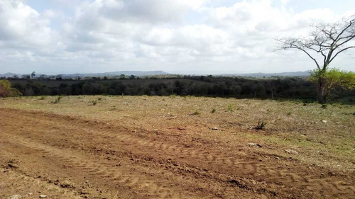 Imagen 5 de 30 de Finca En Mirimire Estado Falcon De 941 Hectáreas