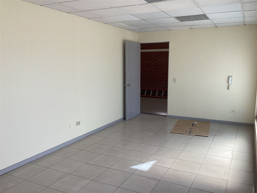 Industrial En Arriendo En Lampa
