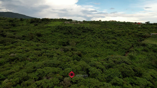 Terreno Con Vista Panorámica A Laguna De Chapala Ideal P/ Desarrollo Exitoso!
