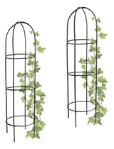 Comprar Tutor Para Plantas Huertas Jardín Trepadoras Hierro Pack X 2