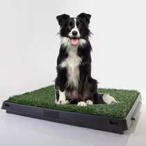 Comprar Baño Mascota Perro Grande Limpio Sano Educa Corrige Portátil