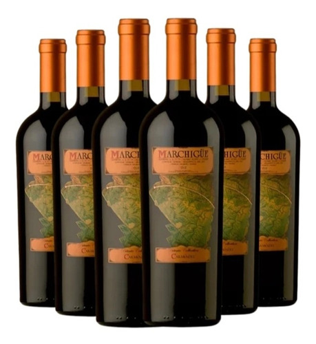 Mapa Carmenere 750cc Viñedos Marchigue 6 Botellas 