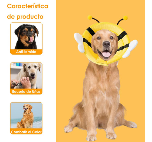 Collar De Recuperación Para Gatos, Collar Isabelino Para Per