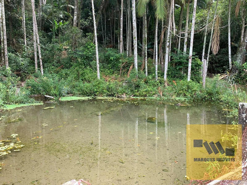 Imagem 5 de 15 de Sítio Em Taiacupeba - Mogi Das Cruzes - 4198