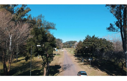 Terreno En Villa Elisa, Nivelado Y Desforestado