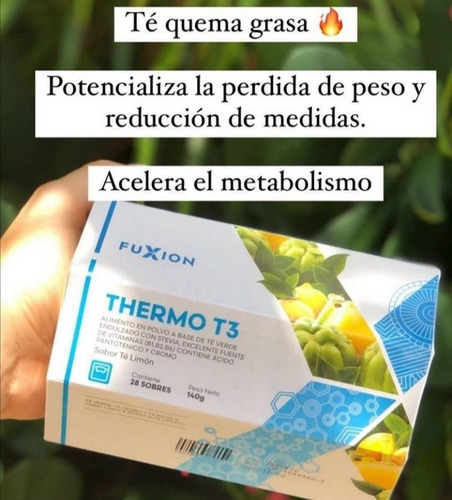 Imagen 4 de 6 de Termo T3 Genera Energía A Partir De La Oxidación De Grasa