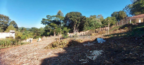 Imagem 21 de 23 de Chácara À Venda, 5000 M² Por R$ 550.000,00 - Chácaras São Miguel - Londrina/pr - Ch0095