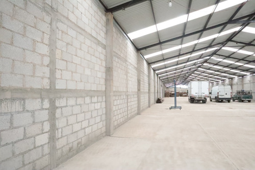 Bodega En Renta Cerca De Platah Carretera México Pachuca