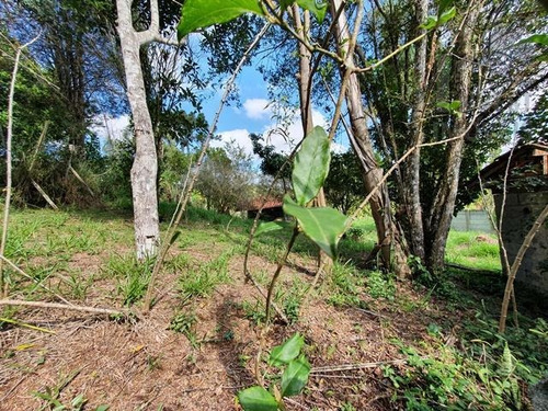 Imagem 9 de 10 de Cód - 5933 - Chácara Do Sossego Em Ibiúna - 5933