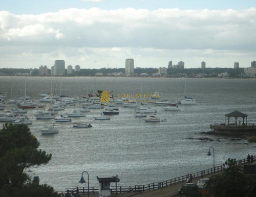 Apartamento En Peninsula, 3 Dormitorios *- Ref: 3164