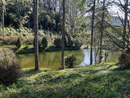 Imagem 20 de 30 de (100 Alqueires) Exuberante Fazenda De Alto Padrão, Com Vista Para Represa, Cachoeira Na Divisa, Cercada Por Mata Nativa E Infraestrutura Completa!!! - 01 - 70257064