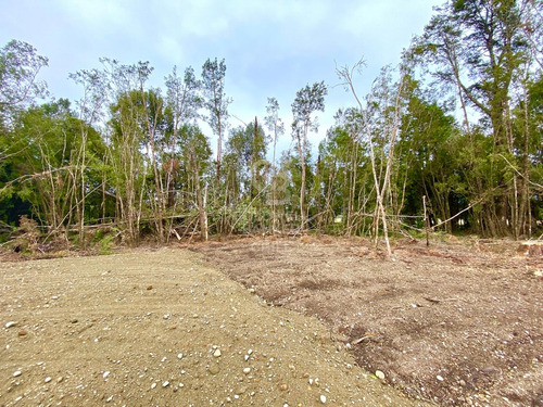 Entorno Tranquilo Y Seguro I Condominio Foresta