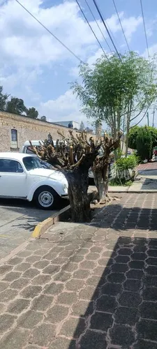 Casa En Venta En Vasco De Quiroga