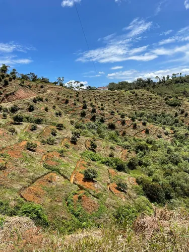 Finca En Venta En Granada. Cod V12640