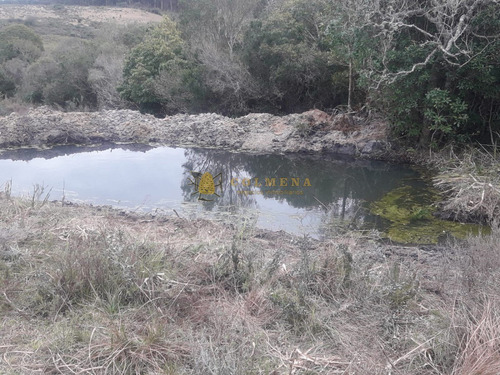 Campo 10 Has En Garzon - Consulte!!!!!!!- Ref: 2109