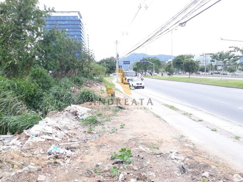 Imagem 8 de 12 de Recreio Dos Bandeirantes - Av Das Amercas - Vendo / Alugo Terreno Com 1.290 M² Valor R$3.500.000 E Aluguel R$18mil. - Mix0001l - 31975593